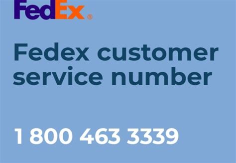 dfcs number customer service number.